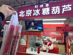 -和禄德冰糖葫芦