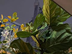 -农畉LONFOOD(福田星河COCOPark店)