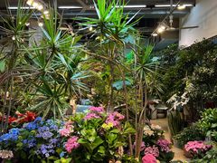 -双季花艺园艺市场(浦东店)