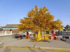 -哈密回王府景区