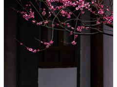 -郭庄景区