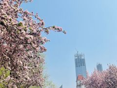 -天津五大道文化旅游区