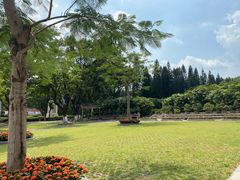 -十九路军淞沪抗日阵亡将士陵园