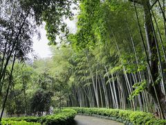 -兰亭风景区
