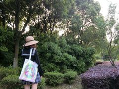 -八大山人梅湖景区