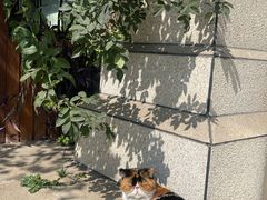 -谷咖啡·鲜花绿植花园餐厅
