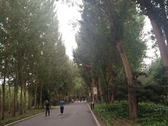 -长春公园(普阳街道)