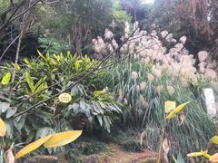-重庆彩云湖湿地公园