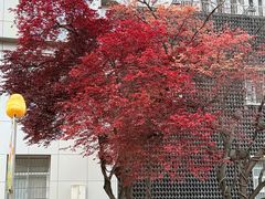 -西安大唐西市博物馆