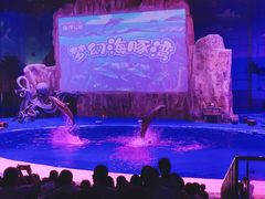 -华夏文旅海洋公园