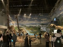 -自贡恐龙博物馆