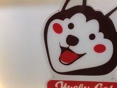 -Husky Go! 哈士奇体验馆·宠物咖啡厅狗咖