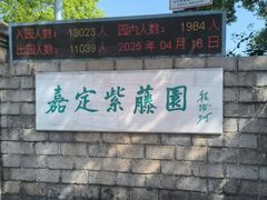 -嘉定紫藤园