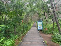 -帽儿山国家森林公园