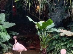 -海南热带野生动植物园