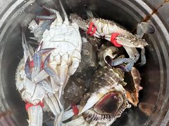 -仙螺岛海鲜自助餐厅(总店)