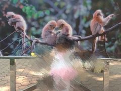 -朝阳公园游乐园