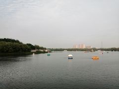 -大兴滨河森林公园