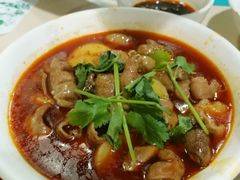 -天一沾水肥肠(科园一街店)