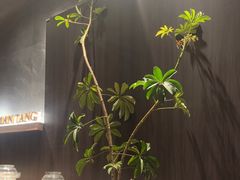 -满堂匠心川宴·私房菜(天府三街店)