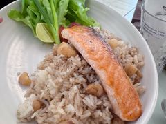 -Fern Forest Cafe