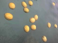 -天目湖涵田半山温泉