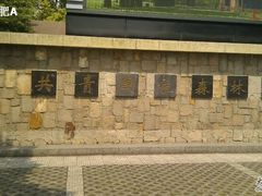 -共青国家森林公园-南大门停车场