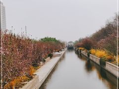 -元大都城垣遗址公园