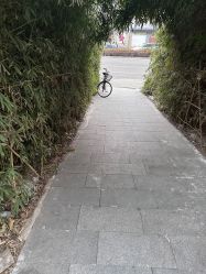 -酉嘉瑜伽YO+YOGA