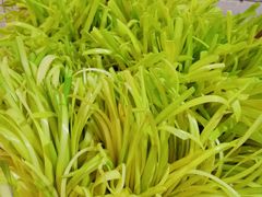 -尤素福东举院饺子馆