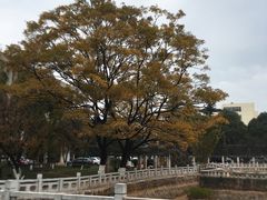 -云南师范大学(一二一西南联大校区)