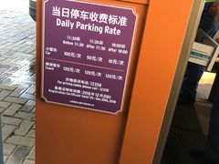 -迪士尼乐园停车场