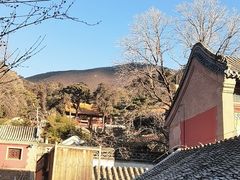 -潭柘寺景区