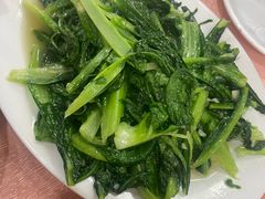 蒜蓉油麦菜-标记好食
