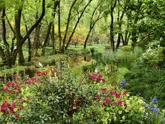 -上海共青森林公园