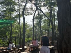 -南戴河国际娱乐中心