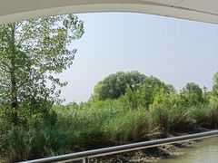 -微山湖红荷湿地景区