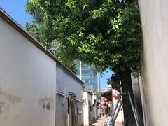 -塔巷