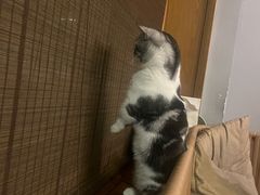 -泰·菩提树下[泰式按摩x精油SPAx肩颈头疗](新景店)