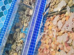 水产区-乔哥铭洋海鲜自助(皇城恒隆广场店)