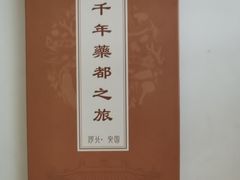 -药王庙(安国市)