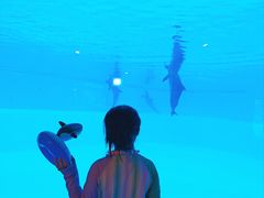 -横琴湾水世界