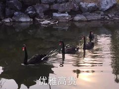 -中国计量大学(西校区)