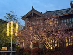 -时光吧·大堂吧·丽江和府洲际度假酒店