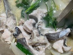 -七采菌园·野生菌石锅鱼(环城北路店)