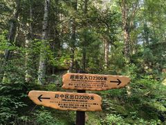 -汤旺河林海奇石景区