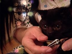 -暖阳宠物医院·犬猫康复中心·骨科