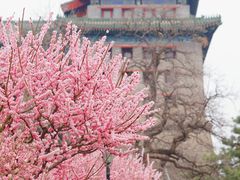-北京明城墙遗址公园