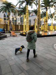 -格乐利雅婚礼艺术中心(徐汇店)