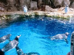 -香港海洋公园